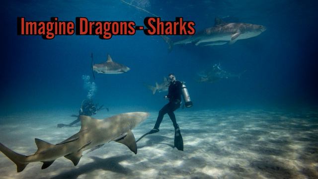 Imagine Dragons - Sharks Piano Cover by Pianella Piano. Музыка Новинки 2023. Хиты 2023 