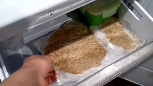 АККР, КОРМЛЕНИЕ АВСТРАЛИЙСКИХ РАКОВ,ЧТО ЕДЯТ РАКИ смотреть онлайн