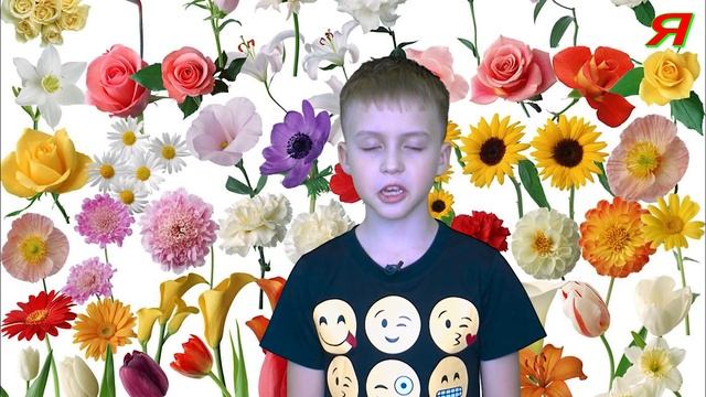 ?КАК ПРАВИЛЬНО ВЫБРАТЬ ЦВЕТЫ НА 8 МАРТА? какие цветы дарить женщине на женский день кому зачем розы смотреть онлайн