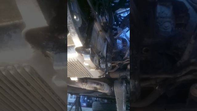Chevrolet Lacetti  течь масла по стыку двигателя и кпп － устранение причины.
