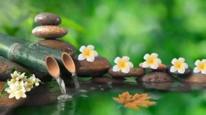 Звуки природы Расслабляющая музыка со звуками природы Бамбуковый фонтан