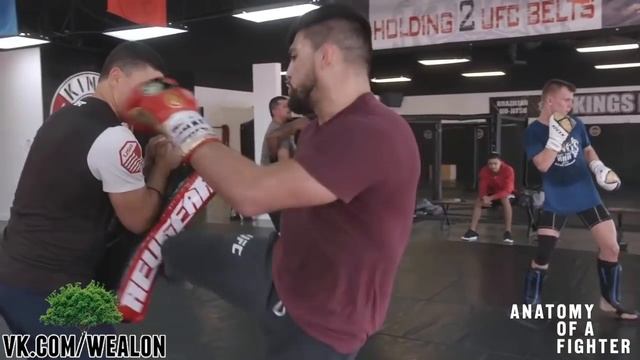 Анатомия бойца - UFC 236 (первый эпизод) смотреть онлайн