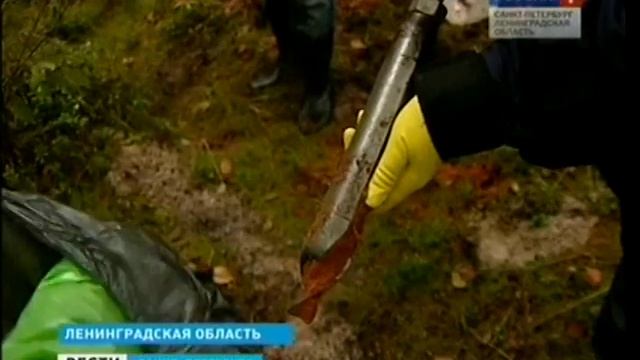 Разлив нефти на реке Пчевжа