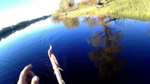 Ловать, Ловать, Ловать! Рыбалка с физруком. Ловим щук.