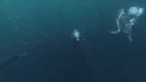 Песни старых дворов Дельфиненок.mp4