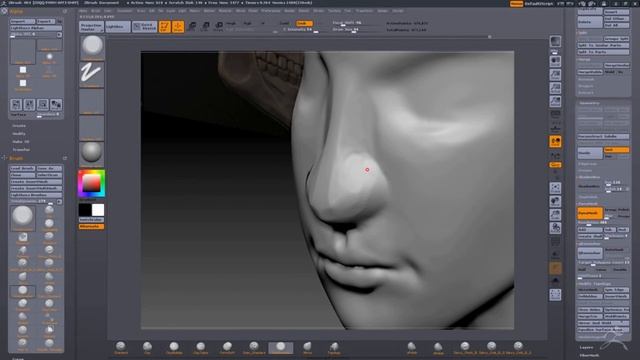 Базовое построение головы в zbrush