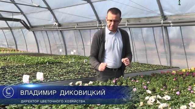 Более 100 разновидностей: какие цветочные новинки выращивают в Пинском районе?