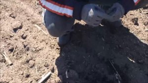 #КОП МОНЕТ С XP #ORX #ЦЕРКОВНЫЕ ЗЕМЛИ 2019