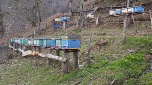 Село в горах Грузии | Пасека в горах