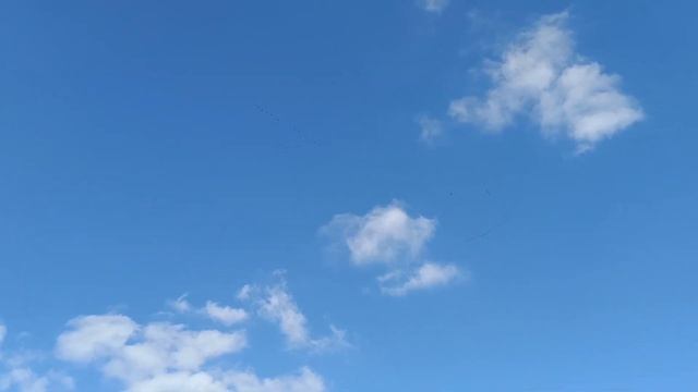 Открытие сезона жидкой воды 2023.. смотреть онлайн