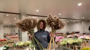 Пампасная трава в интерьере и декоре