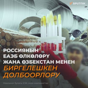 РФтин ЕАЭБ, Өзбекстан менен иштетчү ири долбоорлору. Видеоинфографика