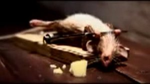 Никогда не сдавайся !!!  Иди только вперед!!!  Прикольная мотивация))))