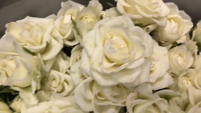 БУКЕТ БЕЛЫХ КУСТОВЫХ РОЗ смотреть онлайн