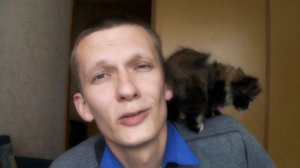 Сергей Есенин. Ах, как много на свете кошек...