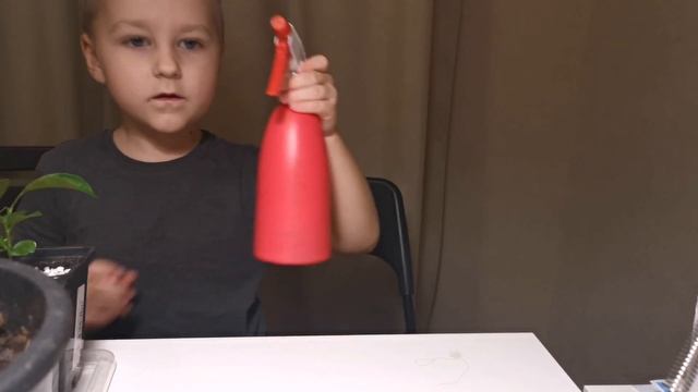 КАК ВЫРАСТИТЬ ЛИМОН ИЗ КОСТОЧКИ * АЛАН И ЕГО ПОСАДКИ смотреть онлайн