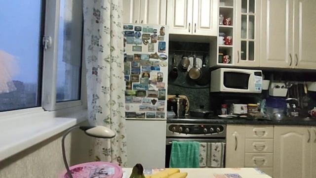 Жареная курочка с рисом на ужин. смотреть онлайн