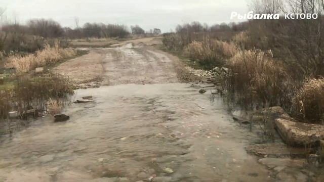 Старое Кстово.Затопило единственную дорогу на"собачий проран"резкий подъём воды смотреть онлайн