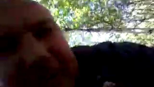 Белые грибы. Когда собирать. смотреть онлайн