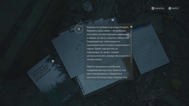 Alan Wake 2 [4K] #2 Озеро Колдрон. Брайт Фоллс, Закусочная