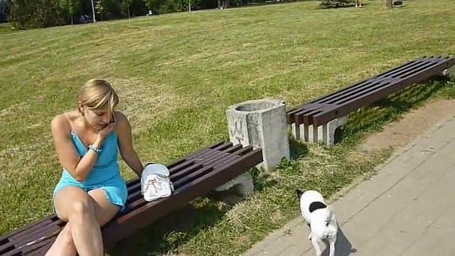 Красивые клумбы в центре Минска - 27 июля 2012г. смотреть онлайн