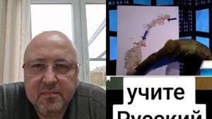 и смех и грех?