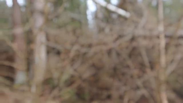 Сработали с ходу по верху/Злата/Тайна/Белкунья/ смотреть онлайн