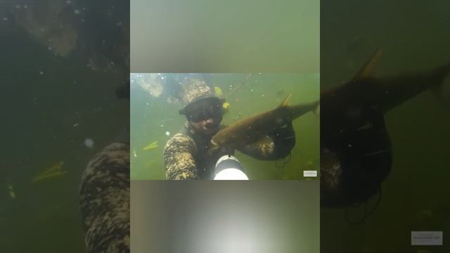 р.Воронеж! ТРОФЕИ!!!?.mp4