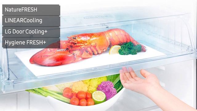 Холодильник LG GN-H702HEHZ (GN-H702HEHZ), GN-H702HMHZ (GN-H702HMHZ) смотреть онлайн