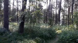 Далека дорога твоя