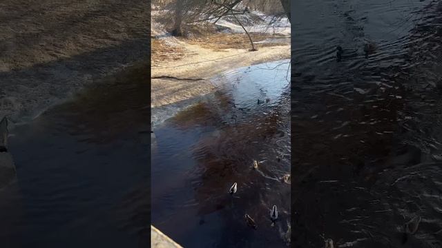 Закончилась зима...