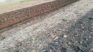 Т - 40 в пахоте. БУКСУЕМ НО ПАШЕМ.