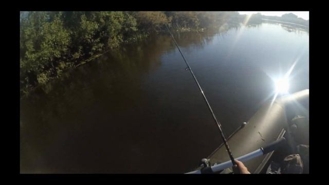 Сплав со спиннингом по реке Угре. Калужская область, июнь 2019 г. смотреть онлайн