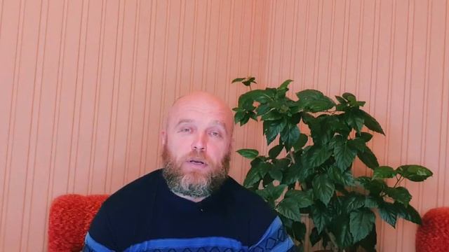 Внутренняя красота. Красота и истина.