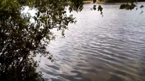 Озеро в Новом Девяткино