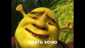 вводный понос #1