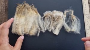 Покупка шерсти в Интернете. Как определить мериносовую шерсть?