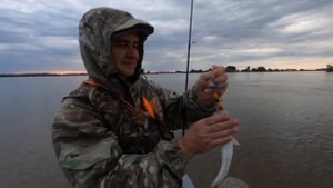 Рыбалка на судака, на реке Белый Ильмень