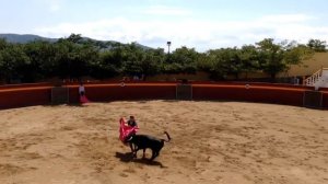 ТОРЕАДОР — (тореро)  - toreador. Опасные, рискованные  игры