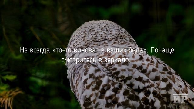 47 ВЕЩЕЙ которые я узнал только в 40 лет или правила жизни смотреть онлайн