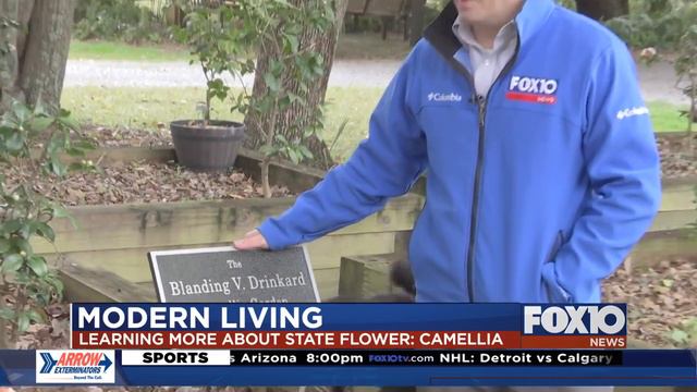 Modern Living: Camellias in Mobile смотреть онлайн