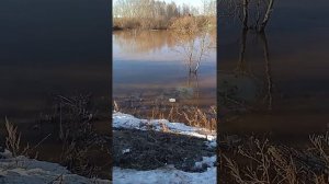 16.04.2021. река Чепца. Удмуртская республика. г. Глазов.