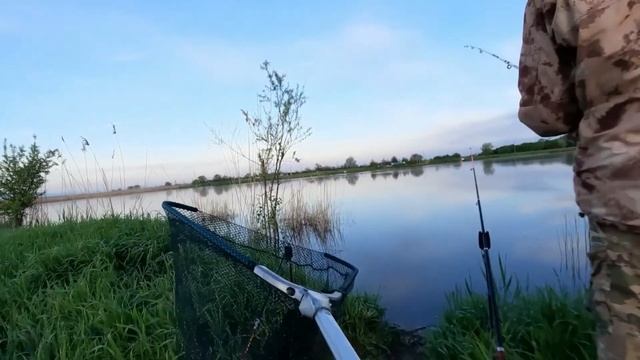 Карп карась в мае 2021 смотреть онлайн