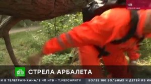 Убил жену из арбалета