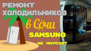 Ремонт холодильника Samsung RS21HNLMR утечка газа.