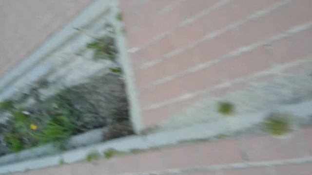 я в навле 2 смотреть онлайн