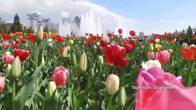 Салом алейкум Тоҷикистон Салом алейкум Таджикистан Salom aleykum Tajikistan!