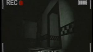 Anomaly Report [FNAF/VHS]