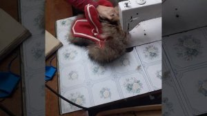 Моя творческая работа .Шью шапку Башкирского народа.