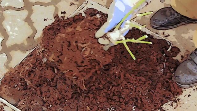 Отправляем заказы в другие регионы! смотреть онлайн